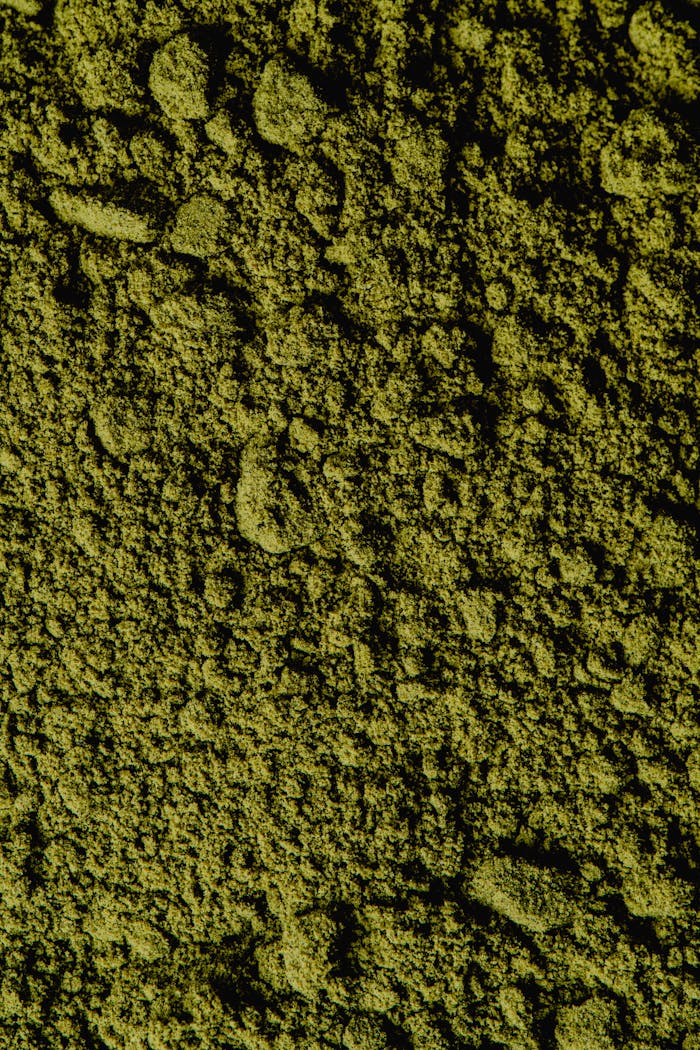 Closeup view of coarse green matcha powder texture, ideal for backgrounds and culinary themes.